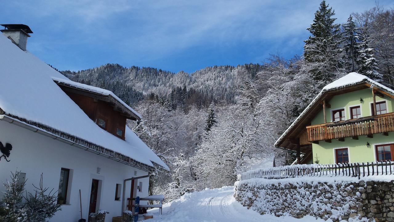 Vaznik Farm House Apartments Bled Exteriör bild