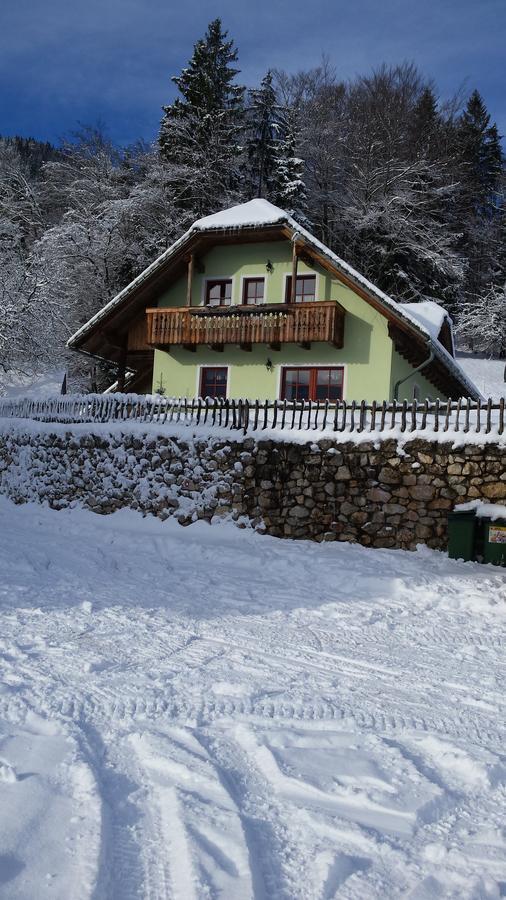 Vaznik Farm House Apartments Bled Exteriör bild